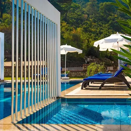 Prestige Vista